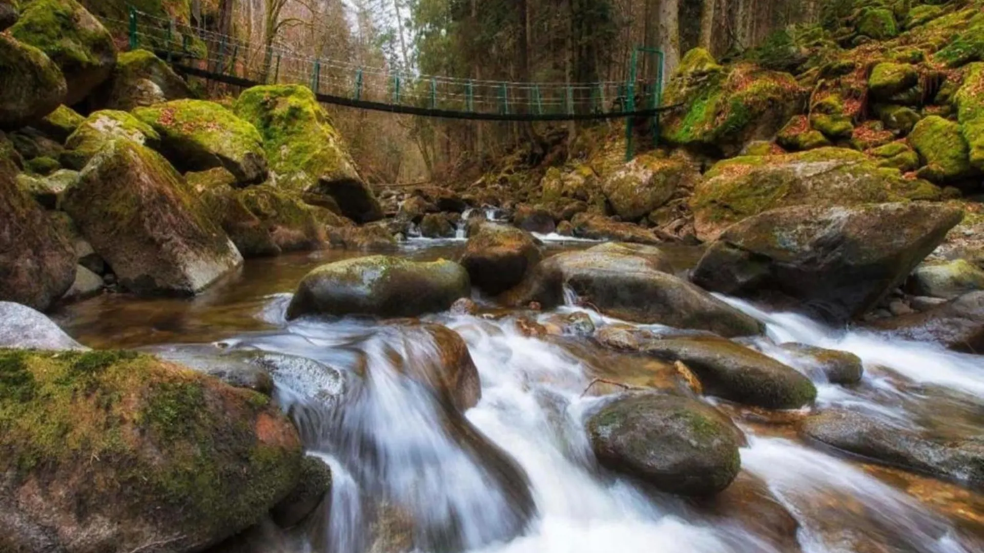 Apartment Peter In Freyung In The Bavarian Forest