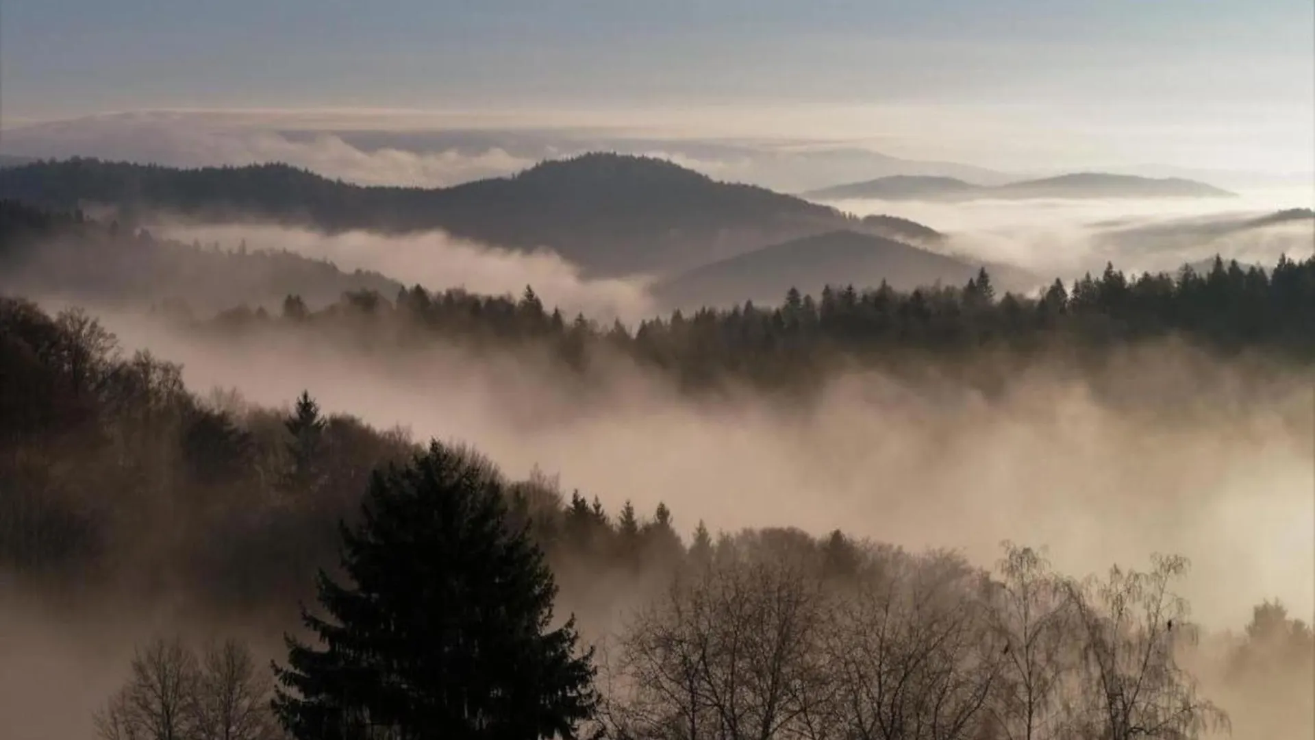 Apartment Peter In Freyung In The Bavarian Forest
